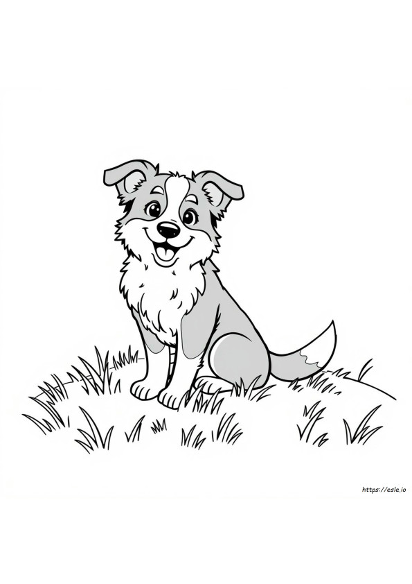 Anjing Border Collie Lucu Halaman Mewarnai