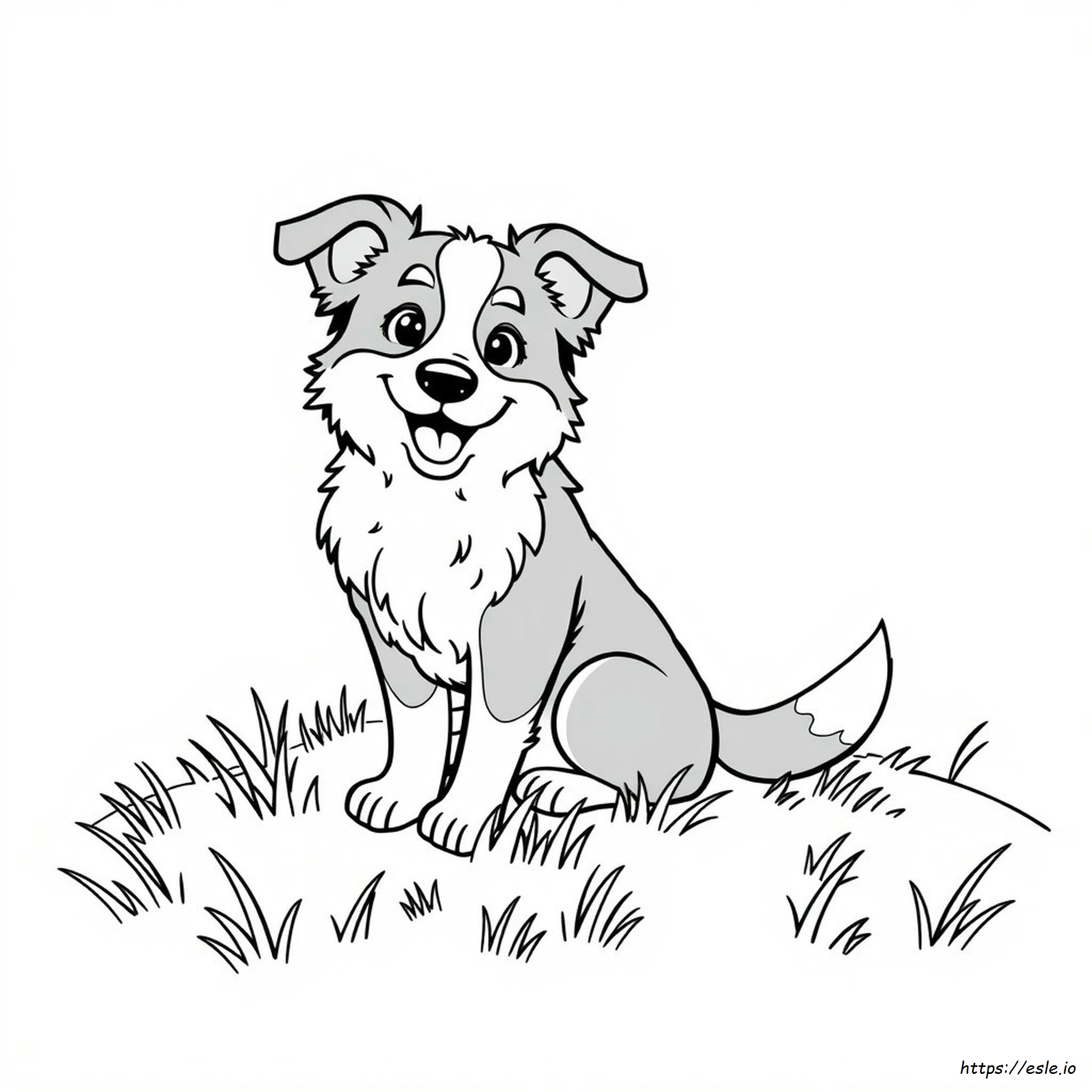 Cute Border Collie Coloring Page