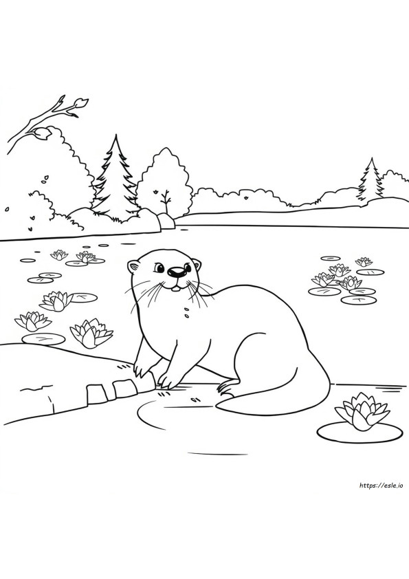 Dibujo De Nutria Para Colorear