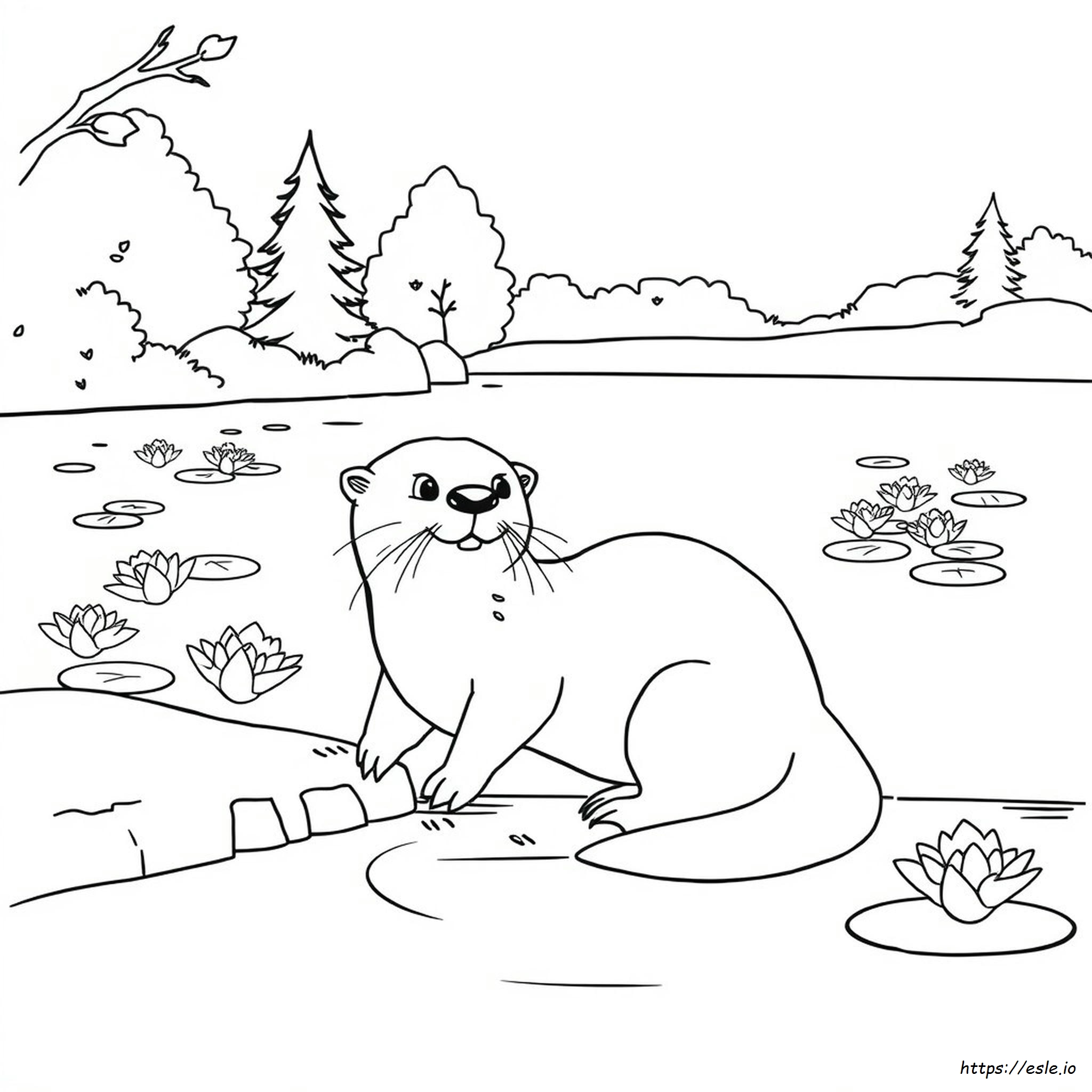 Otter Coloring Picture