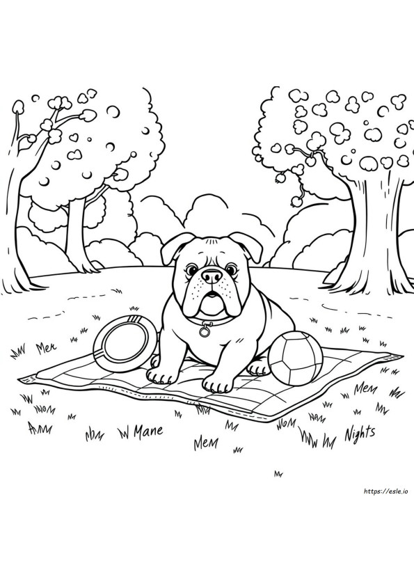 Gambar Mewarnai Bulldog