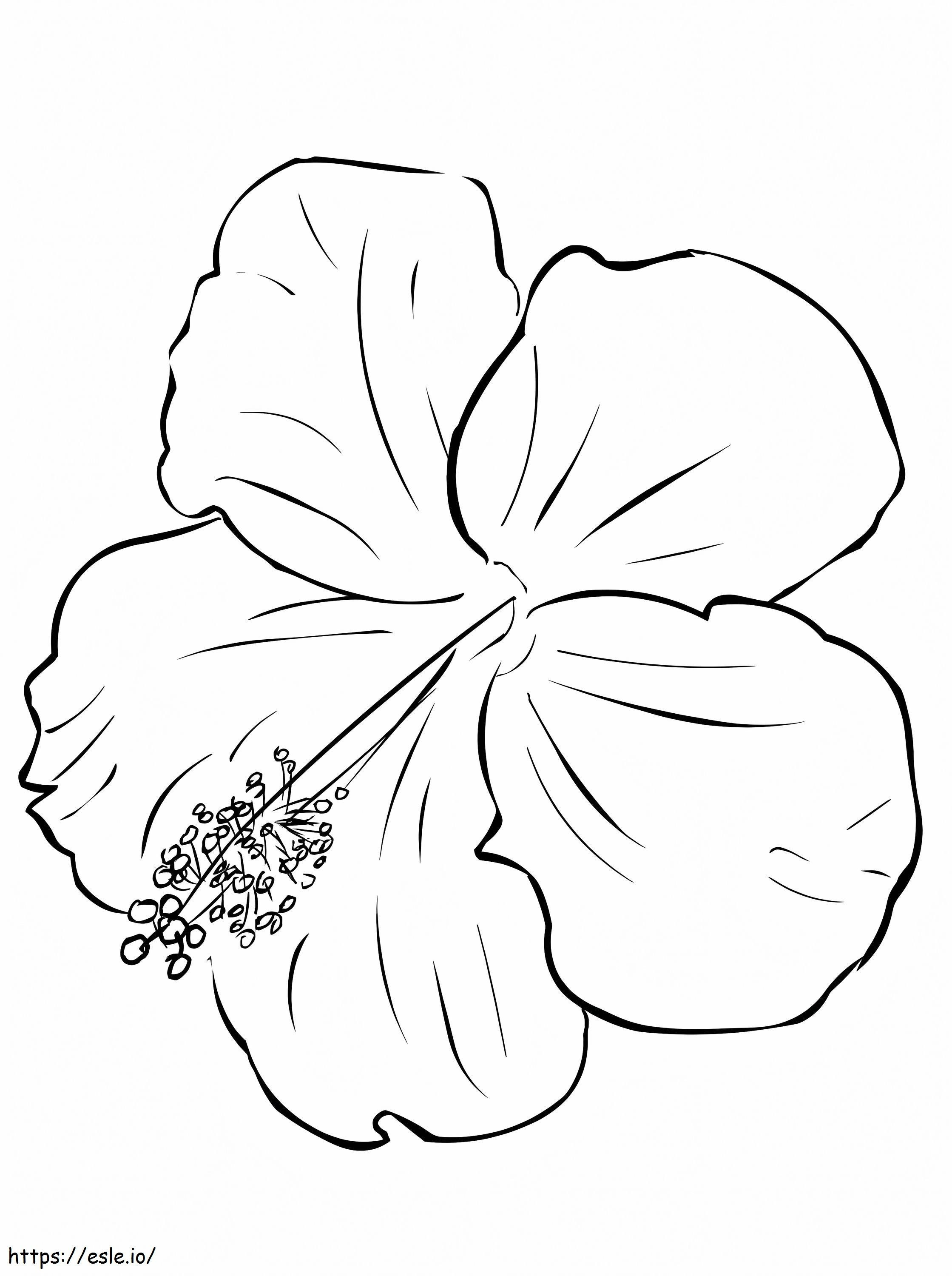 Floarea de hibiscus 5 de colorat