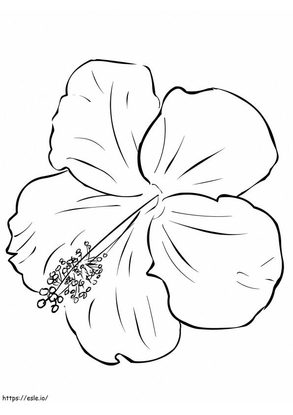 Hibiscusbloem 5 kleurplaat