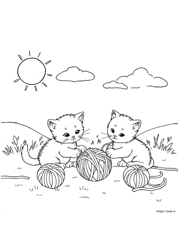 Apakah Anak Kucing Berubah Warna