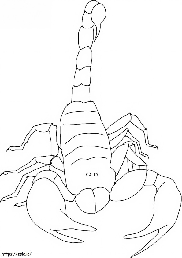 Coloriage Scorpion libre à imprimer dessin