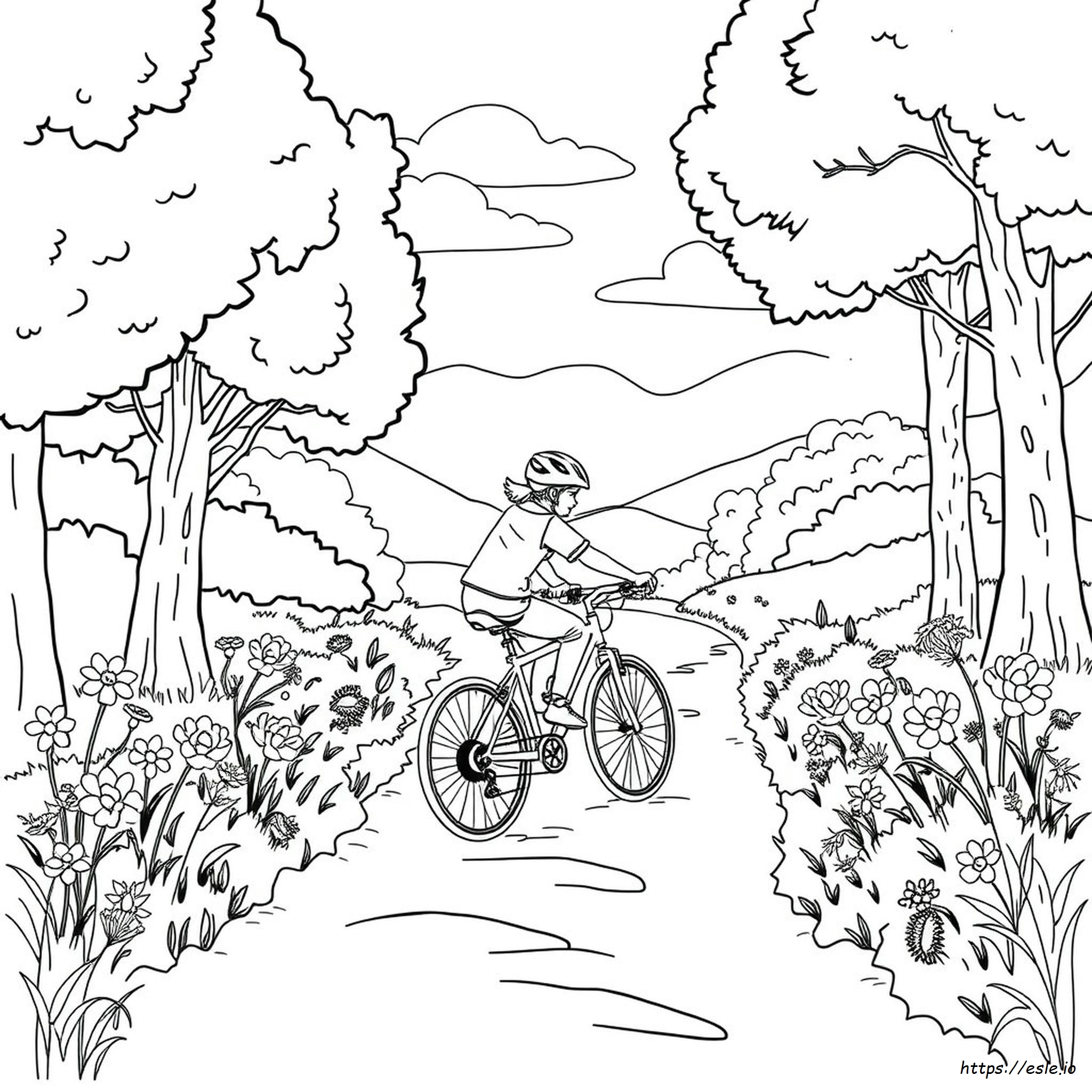 Bike Colouring Near Me
