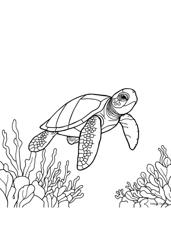 Coloriage Tortue De Mer