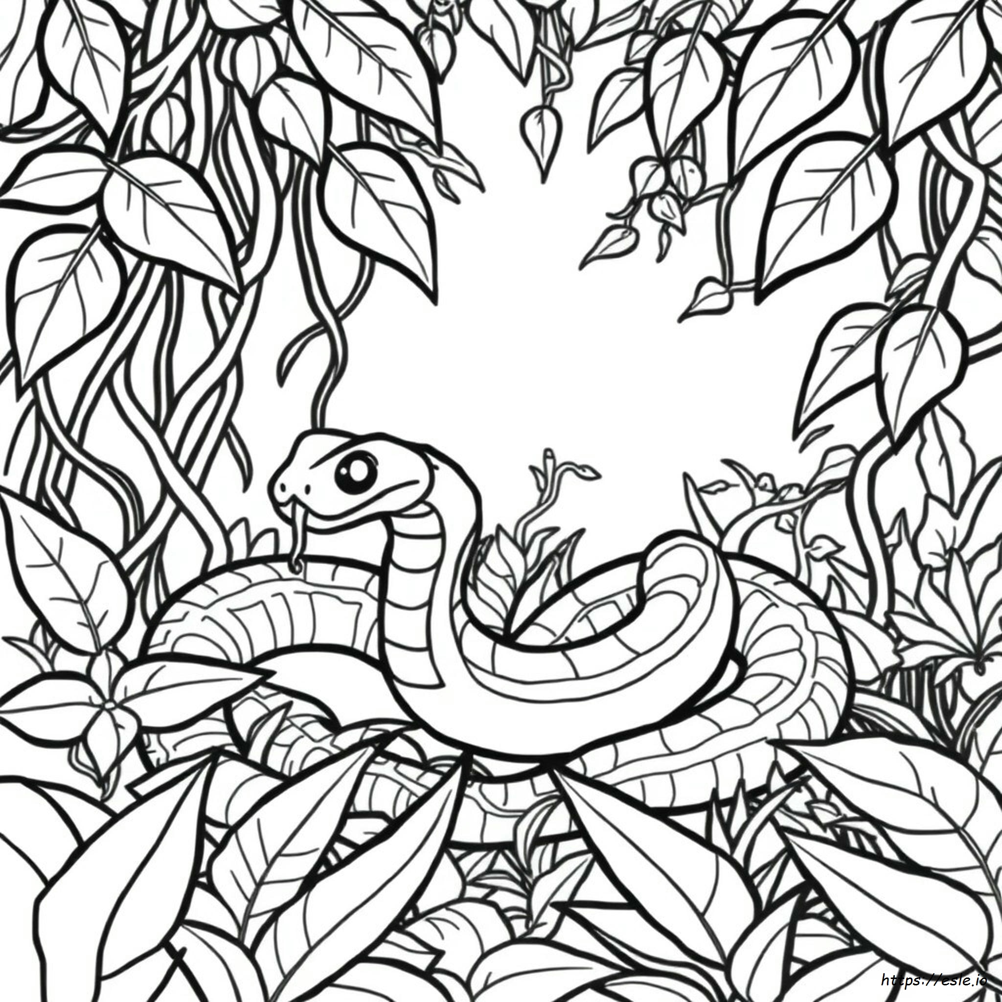 Coral Snake Coloring