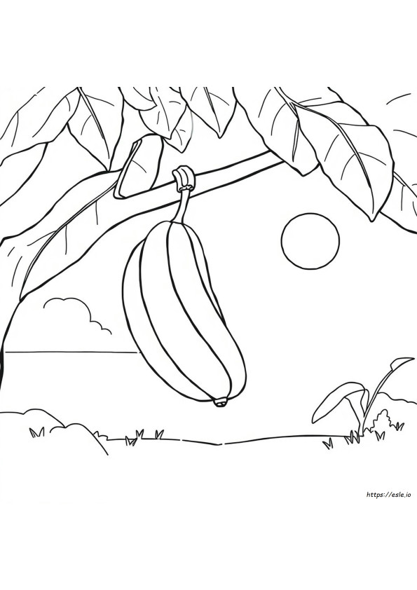 Code Couleur Banane