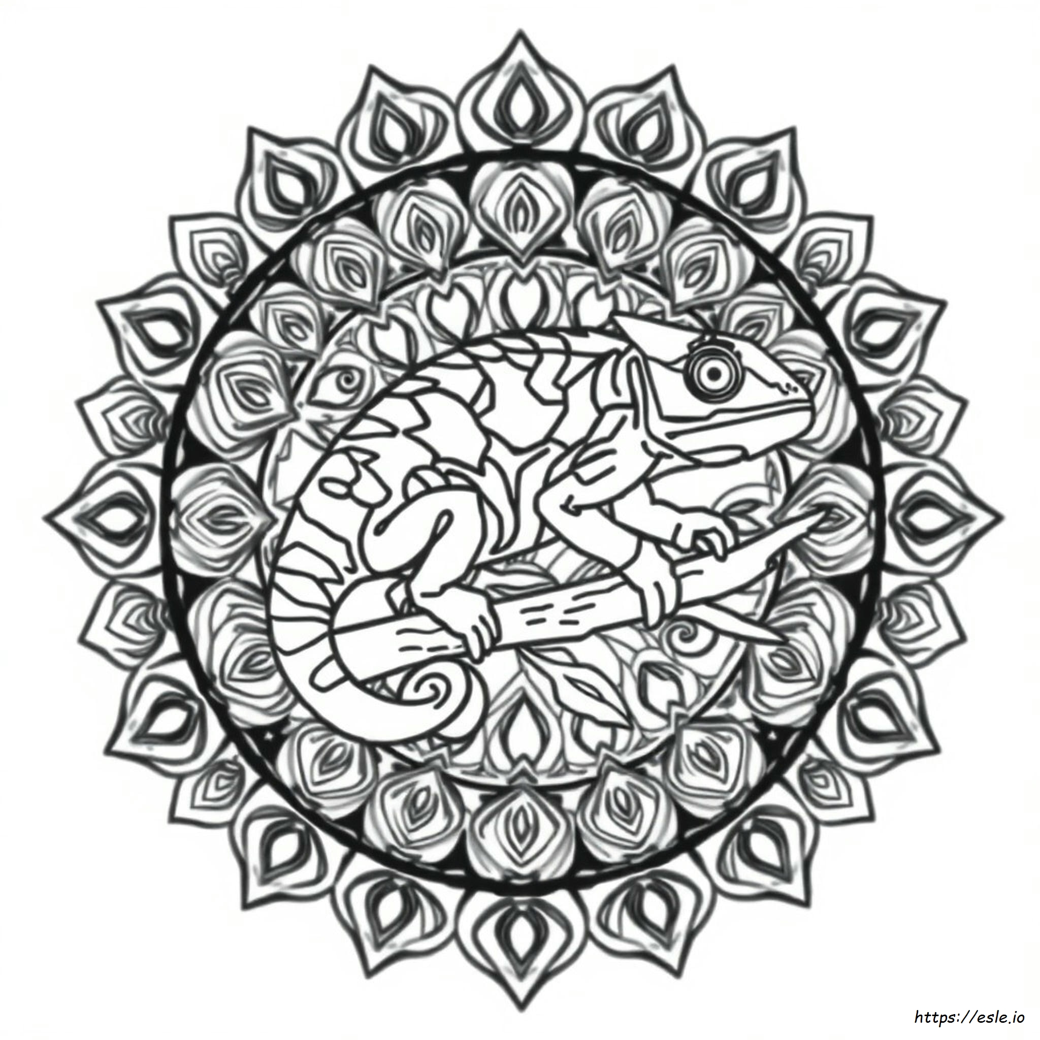 Mandala Del Camaleonte Da Colorare