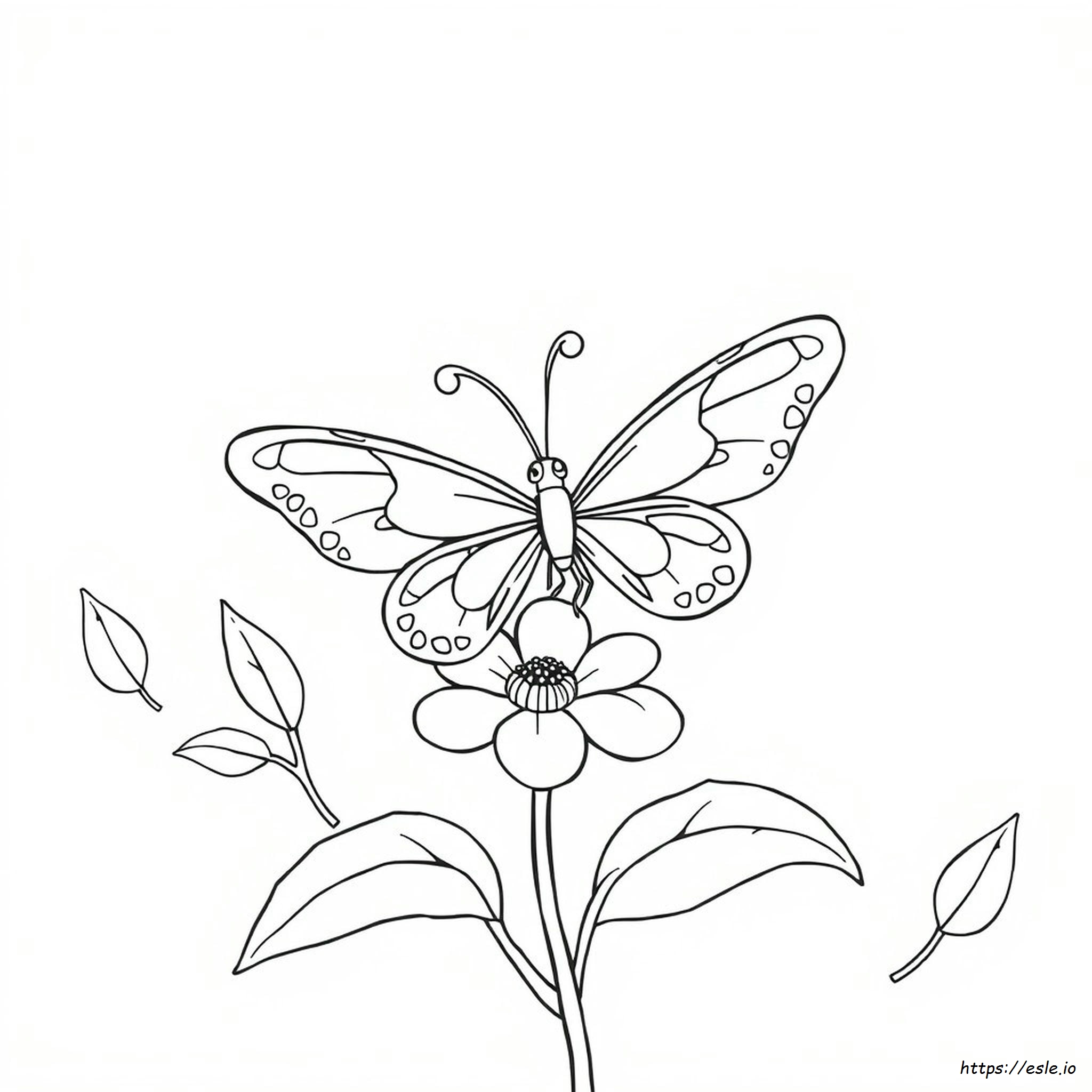 Cute Butterfly Colouring