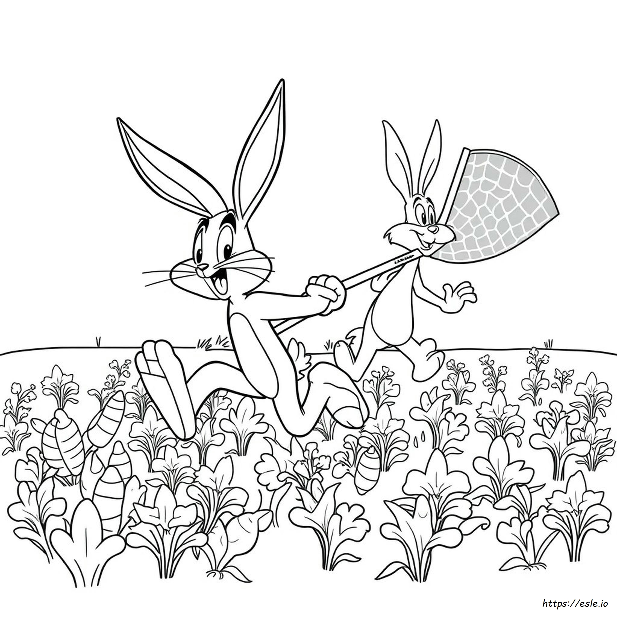 Looney Tunes Coloring Pages Free