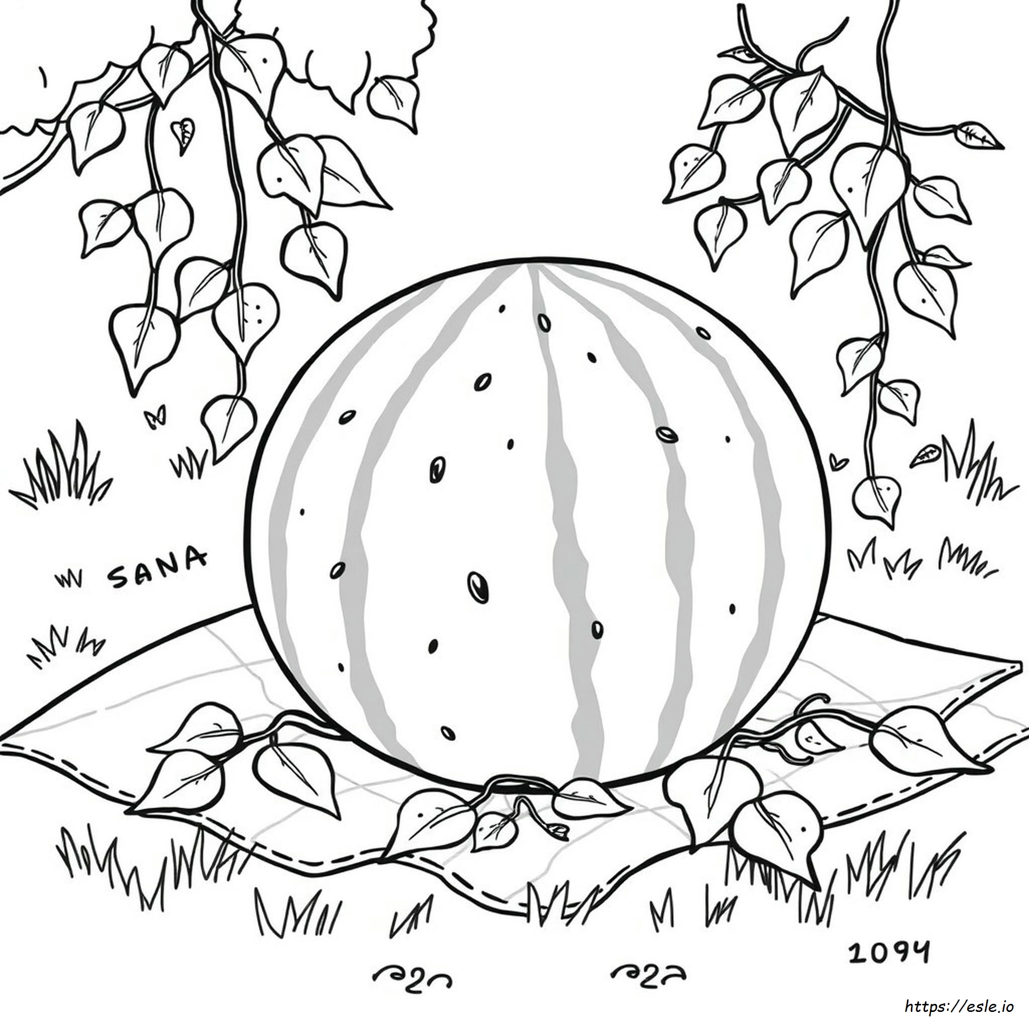 Whole Watermelon Coloring Page