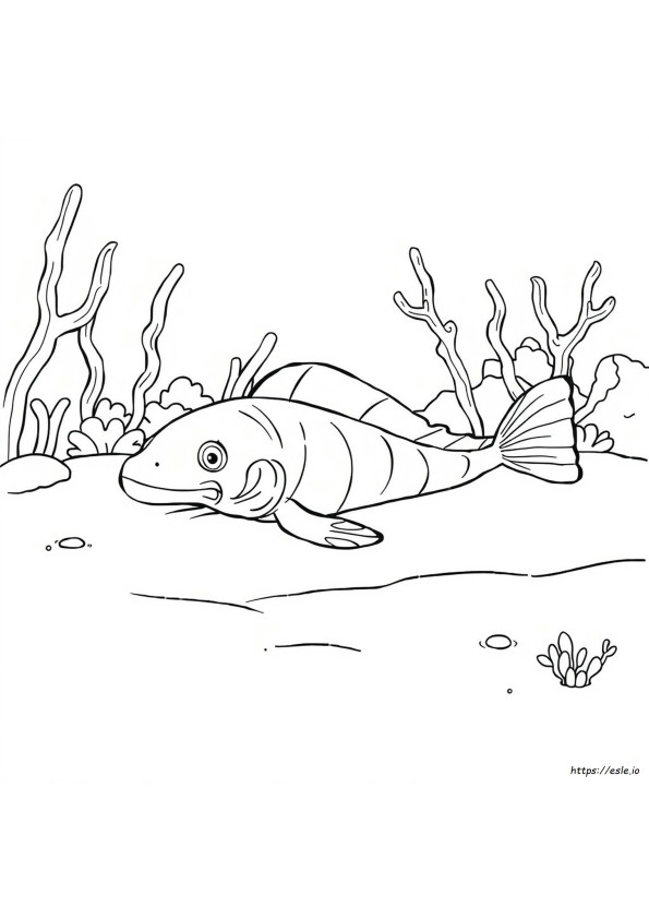 Coloriage Murène
