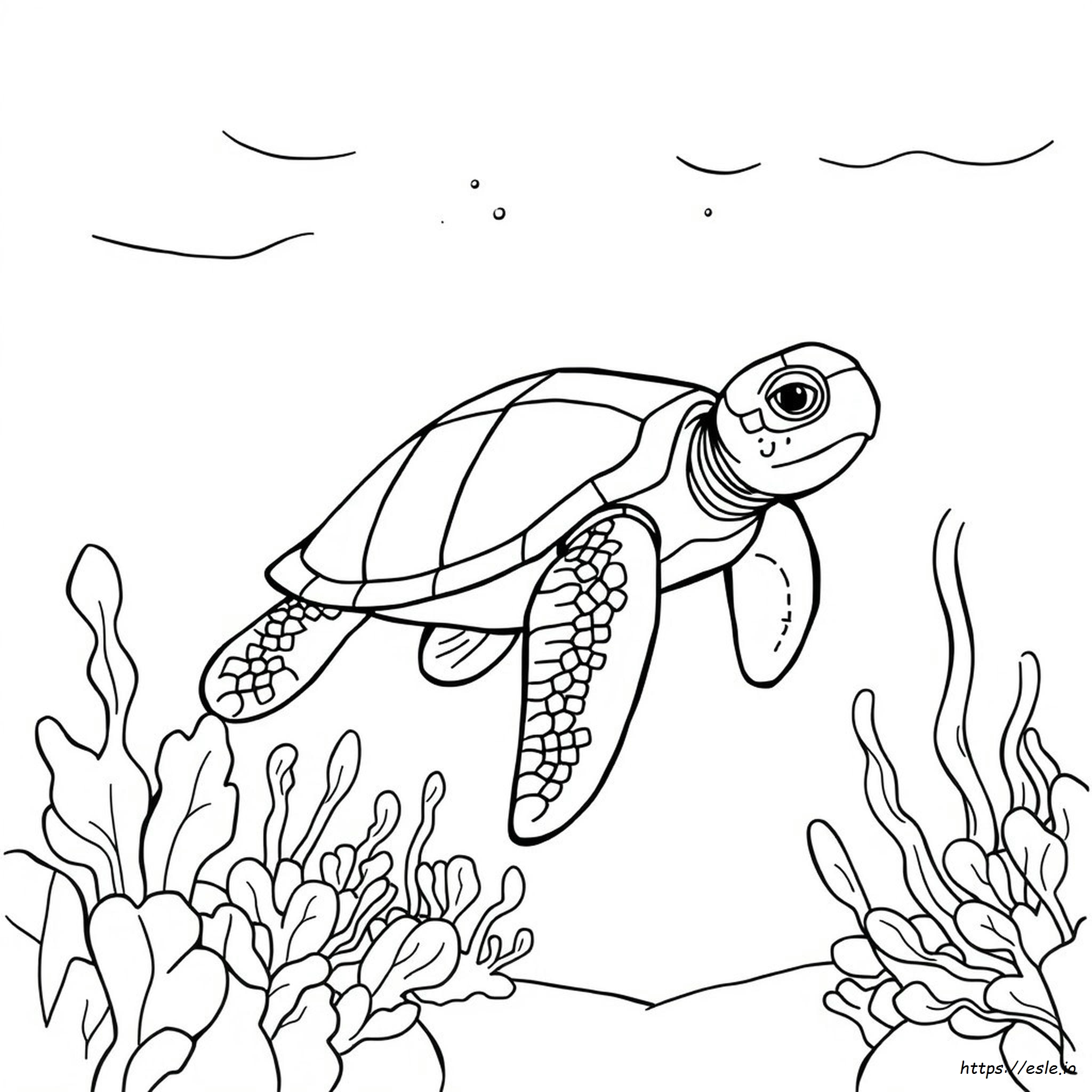 Sea Turtle Colouring Page