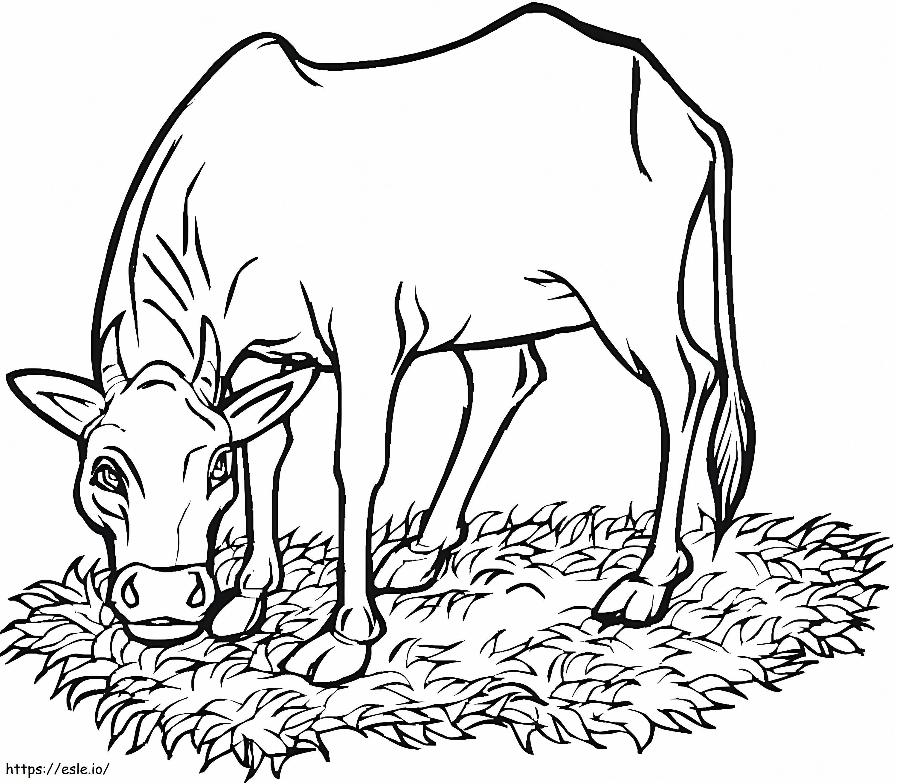 Lehmä syö ruohoa värityskuva