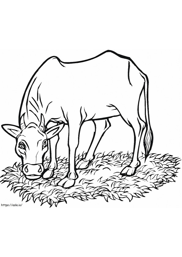 vaca comiendo hierba para colorear