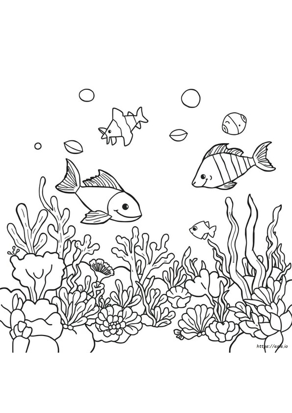 Creaturi Marine De Colorat