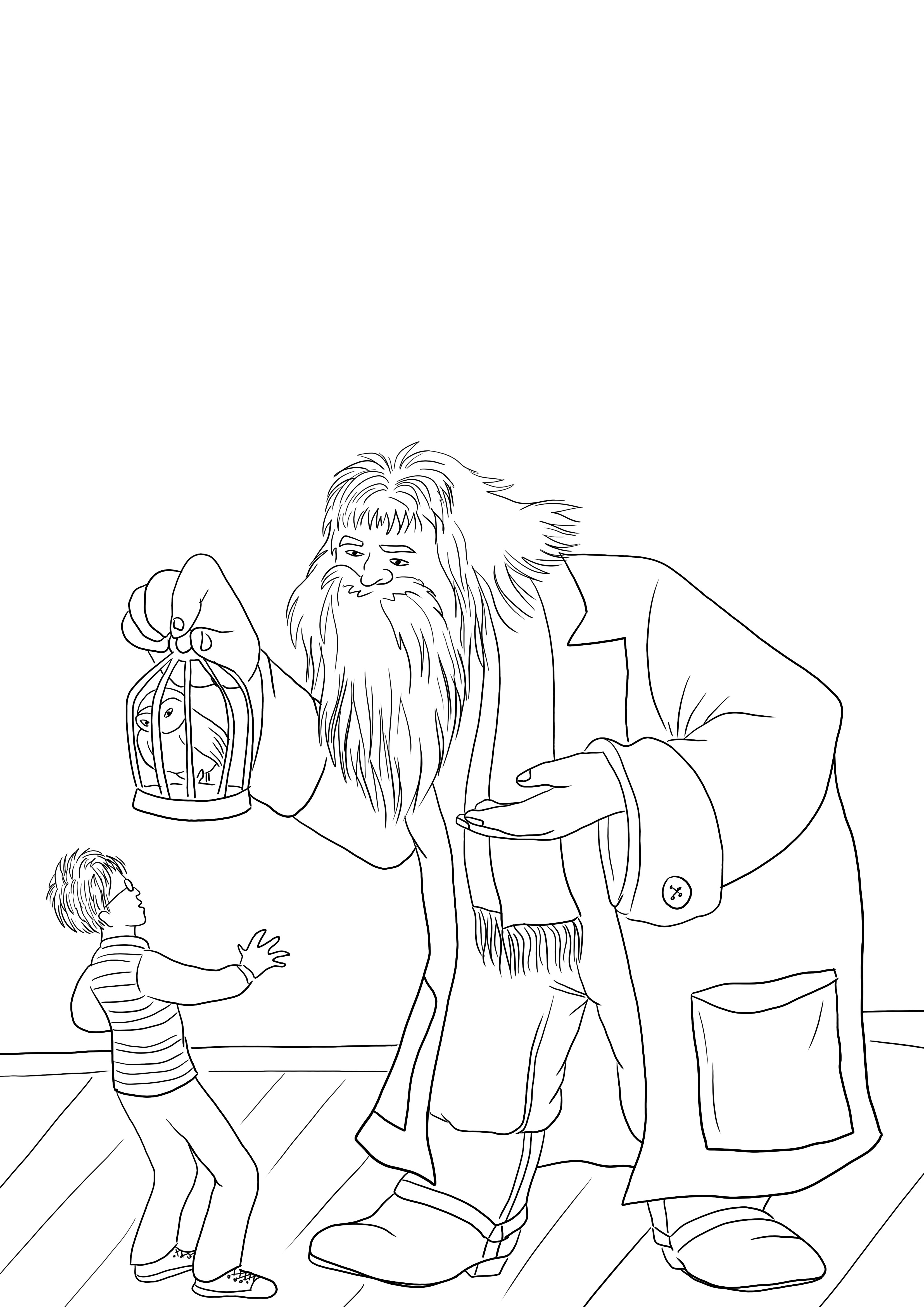 Hagrid ofrece un loro a Harry Potter para colorear imagen para descargar gratis