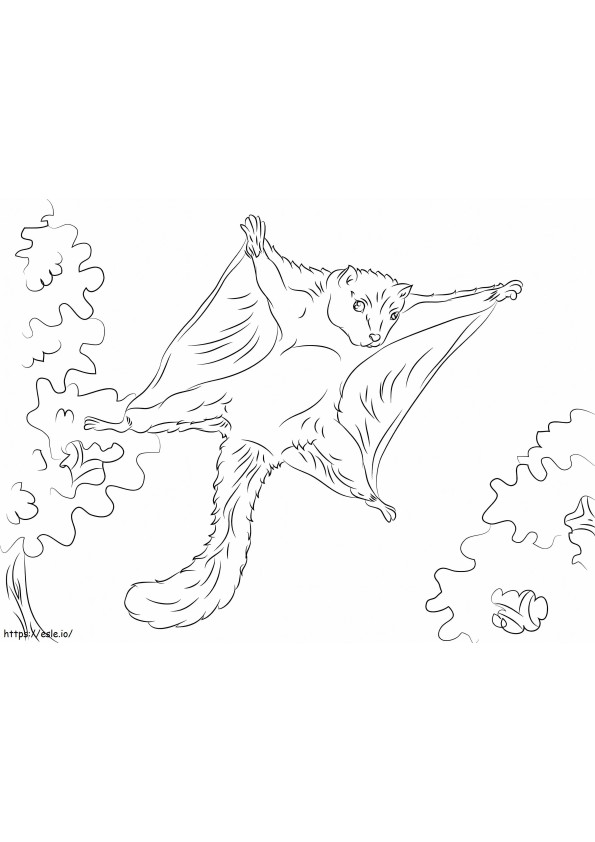 Coloriage Écureuil volant à imprimer dessin
