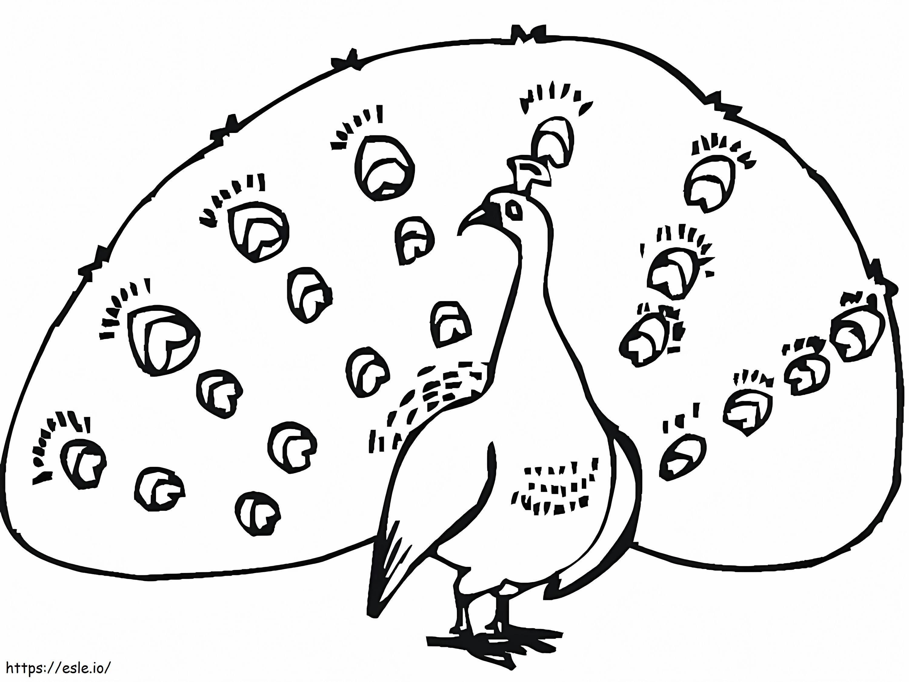 Print Peacock coloring page