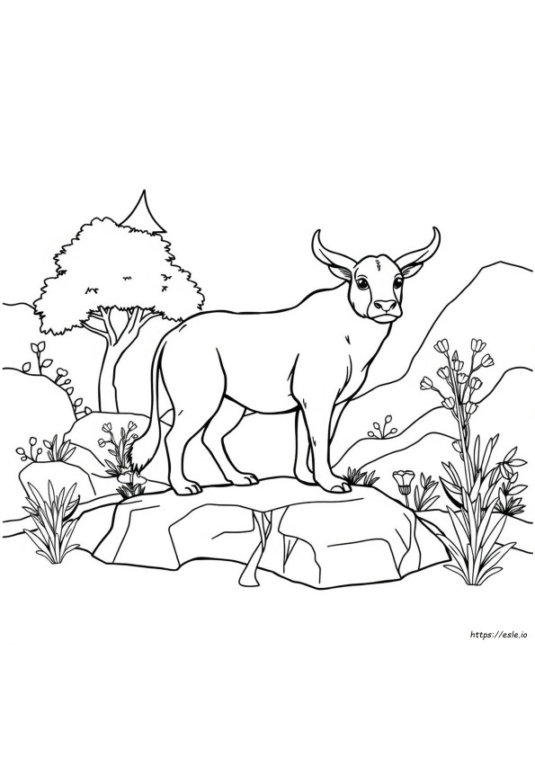 Desenhos Para Colorir De Animais Realistas