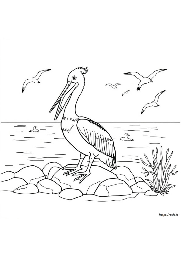 Pelikan Mewarnai