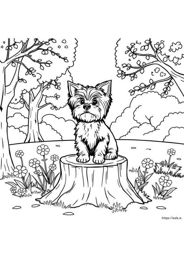 Yorkie Ausmalbilder
