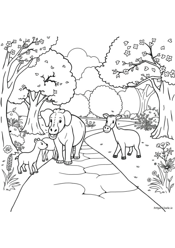 Desene De Colorat Cu Animale La Grădina Zoologică