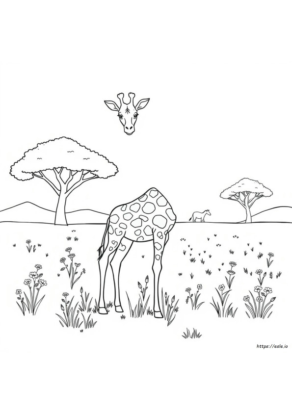 Gemakkelijke Giraffe Kleurplaten