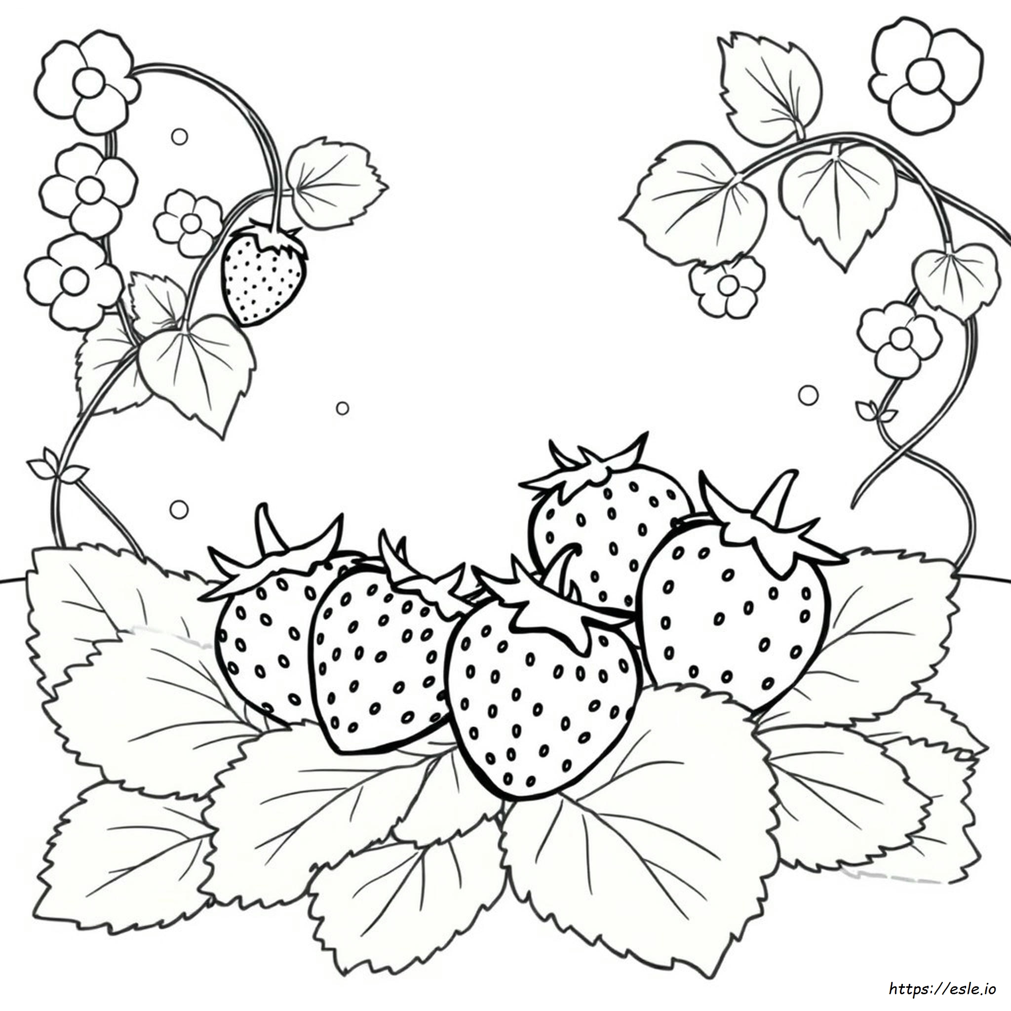Pagina Da Colorare Facile Con Fragola
