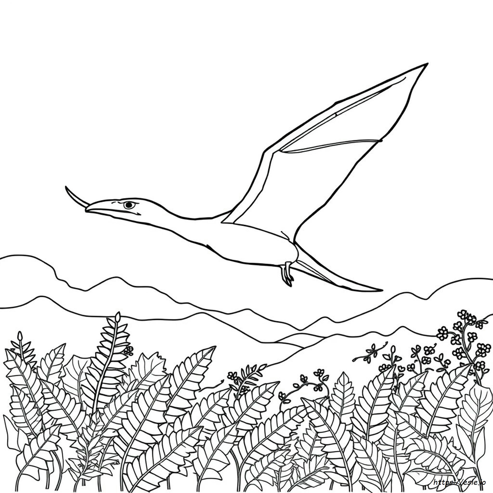 Pterodactyl Coloring Pictures