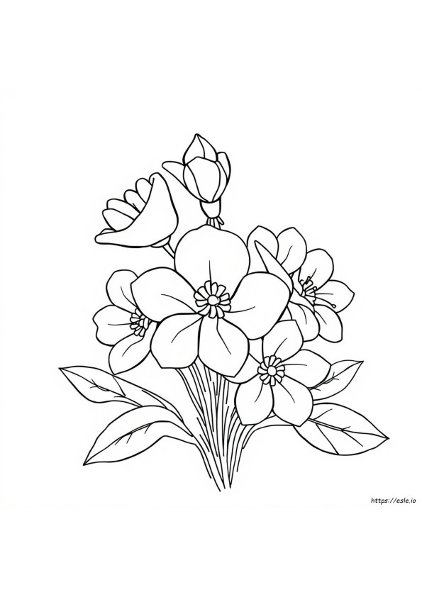 Gambar Mewarnai Beludru