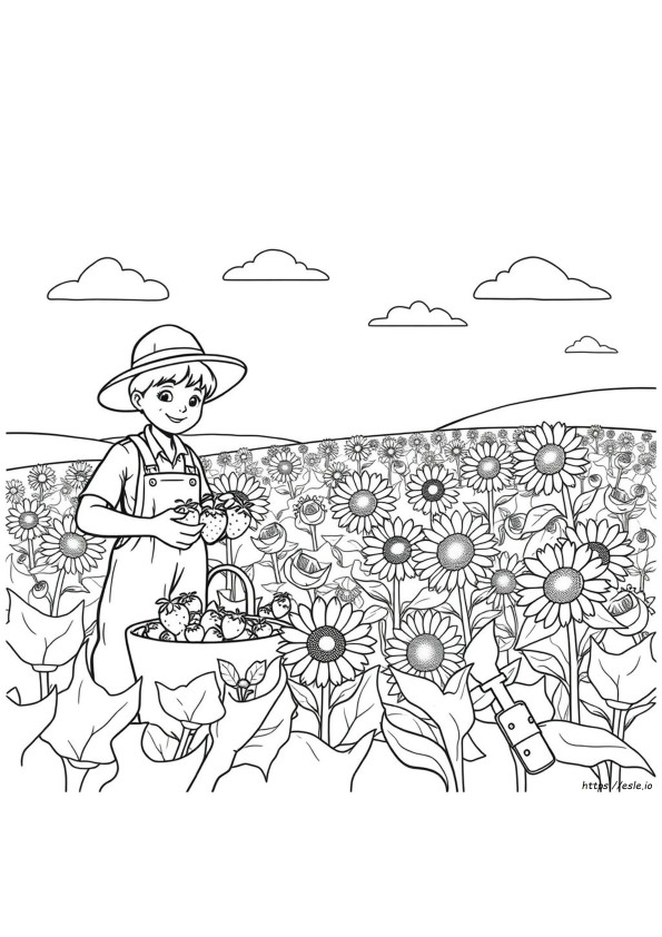 Desene De Colorat Cu Recolta
