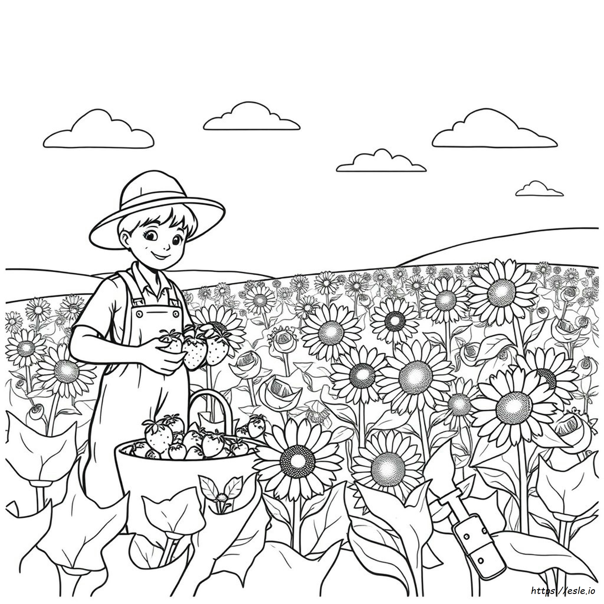 Harvest Coloring Pages