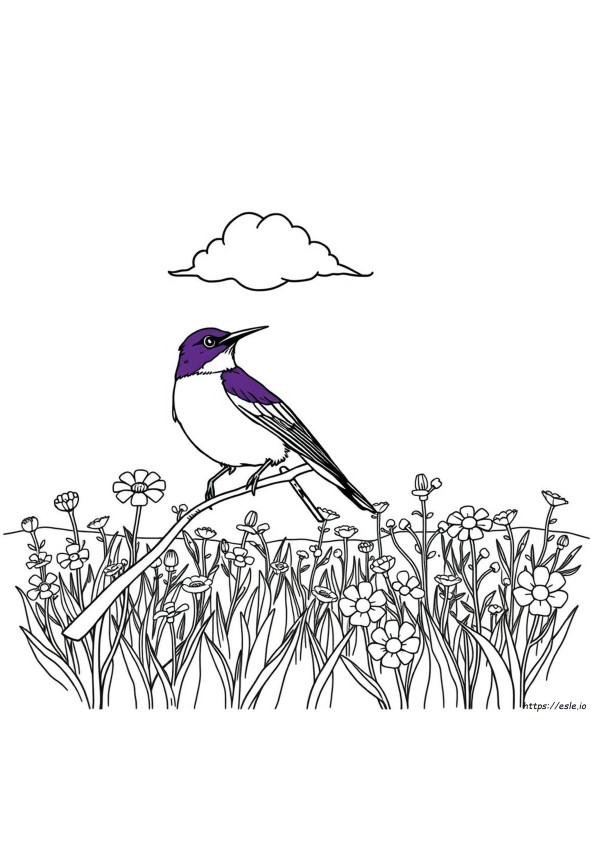 Gambar Mewarnai Burung Layang-Layang Ungu