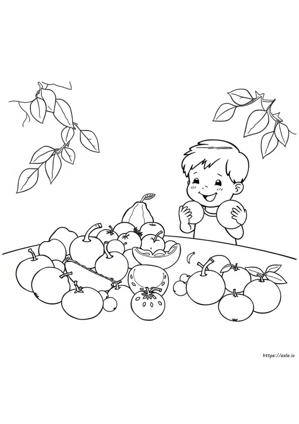Coloring Fruits Worksheet For Kindergarten