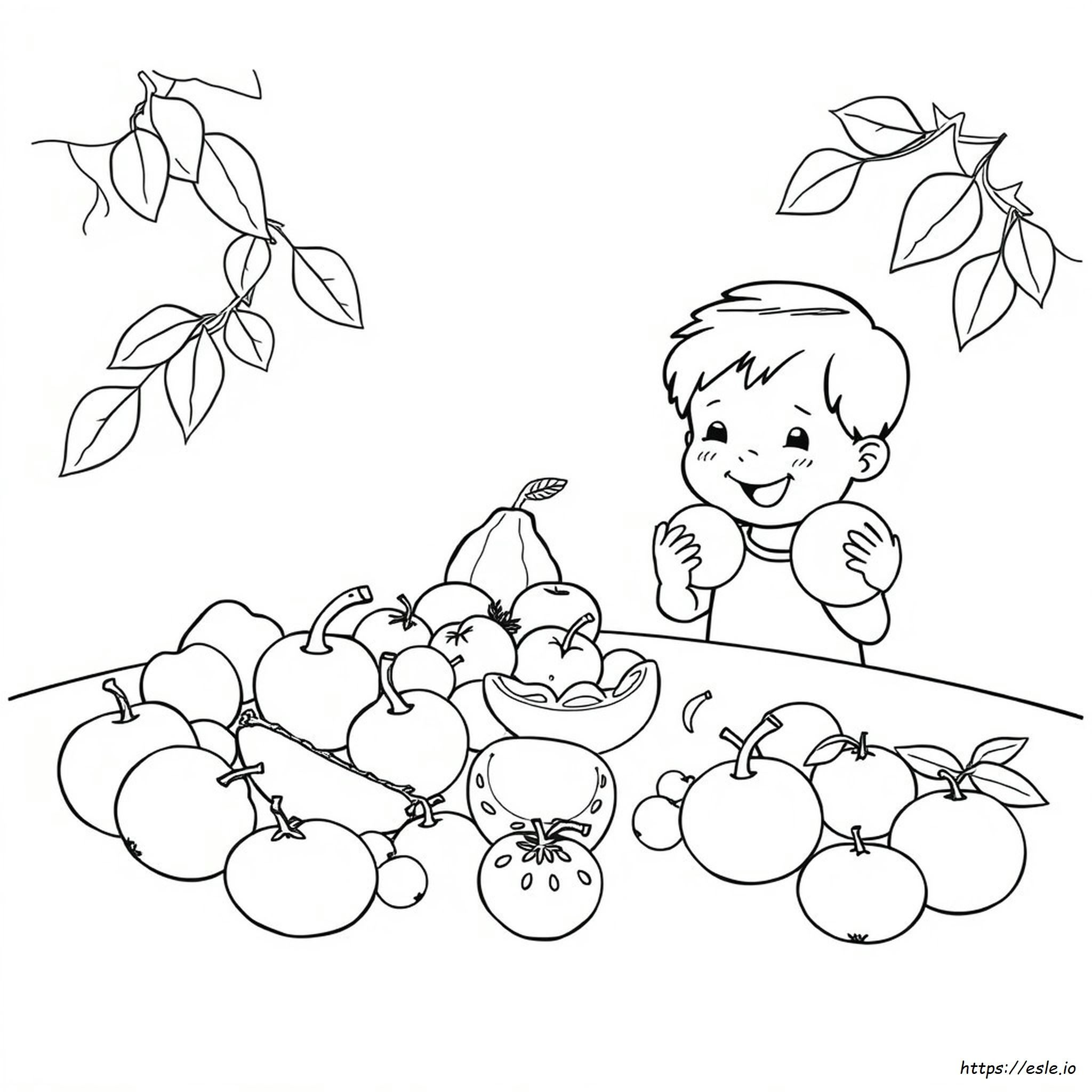 Frutta Da Colorare Per La Scuola Dell'infanzia