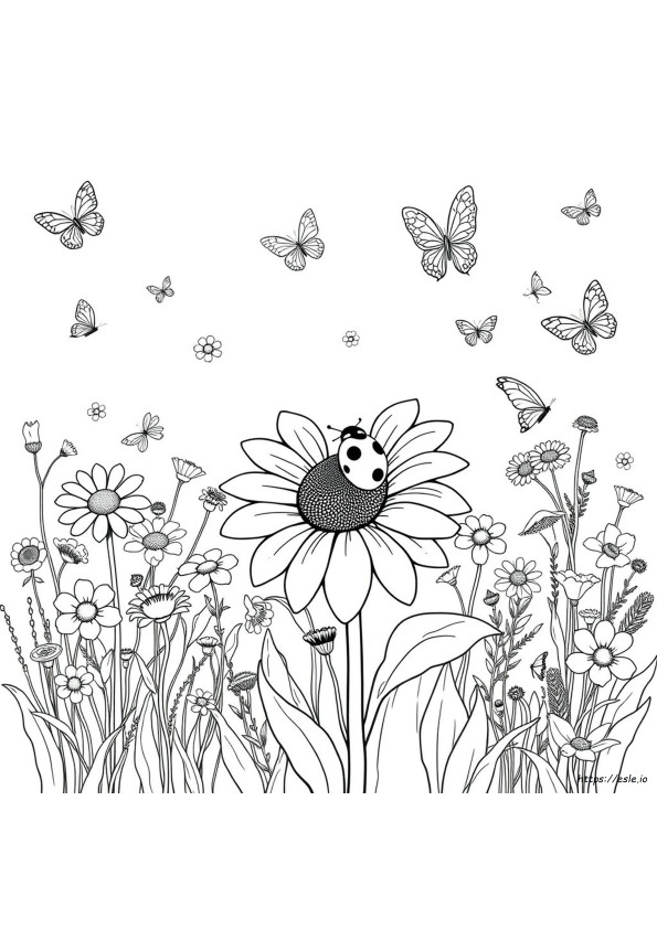 Coccinelle Da Colorare