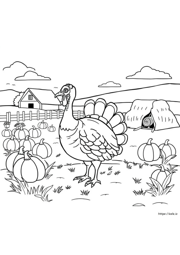 Anak Ayam Kalkun Gambar