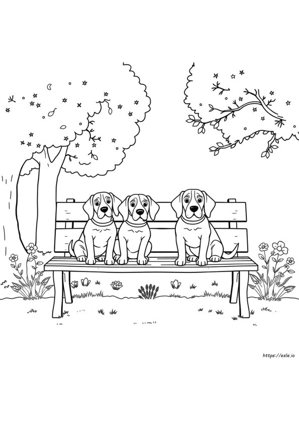 Beagle Värityskuvat Ilmainen