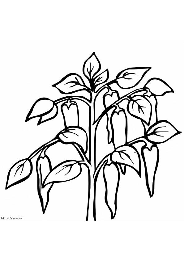 Chili Tree coloring page