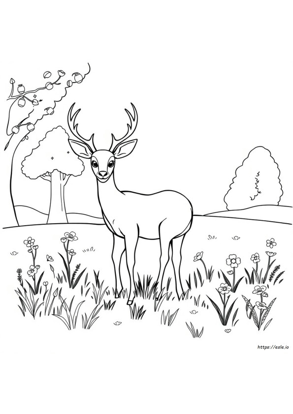 Coloriage Cerf