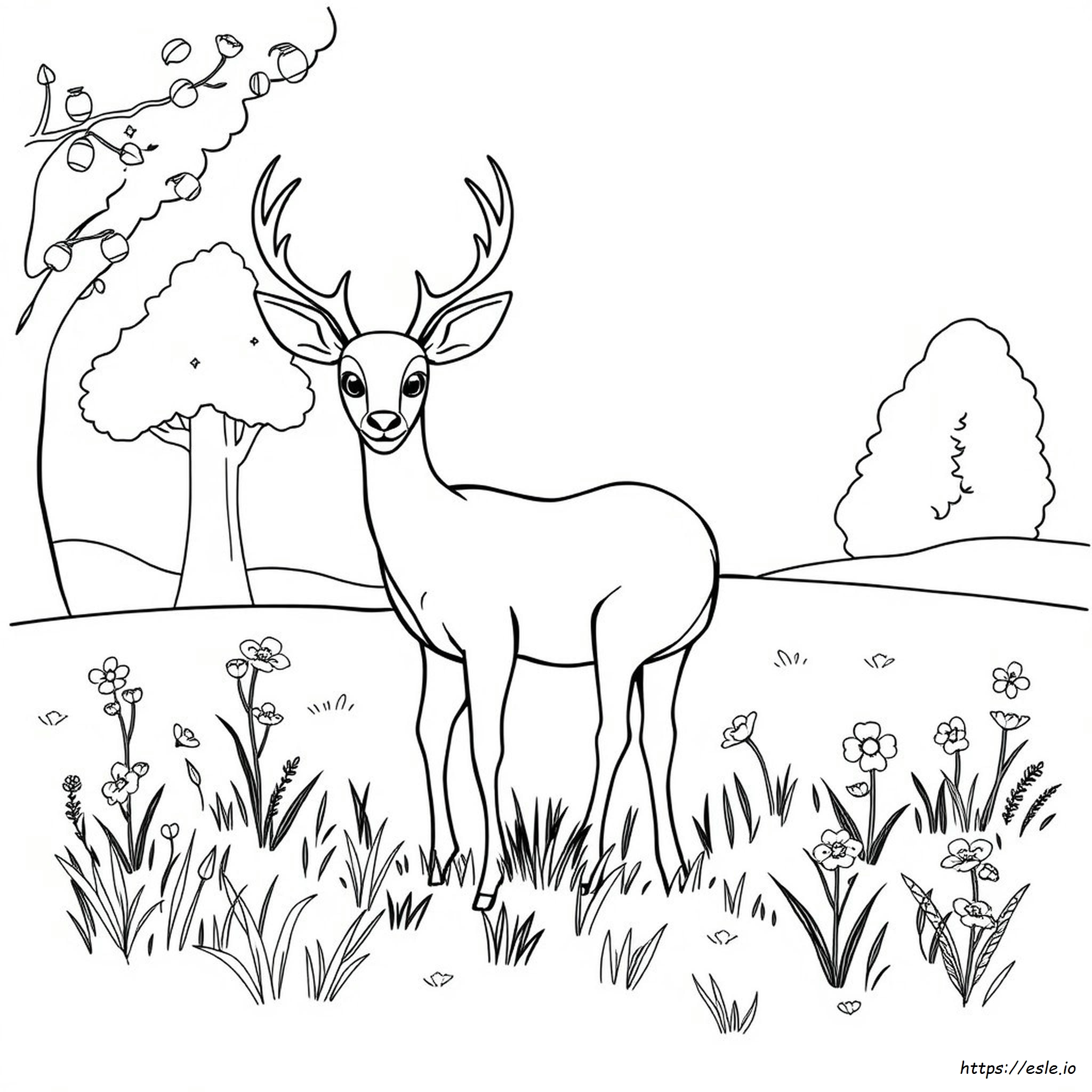 Disegno Da Colorare Di Animale Cervo