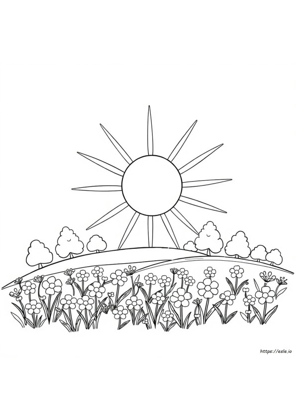 Sunny Coloring Page