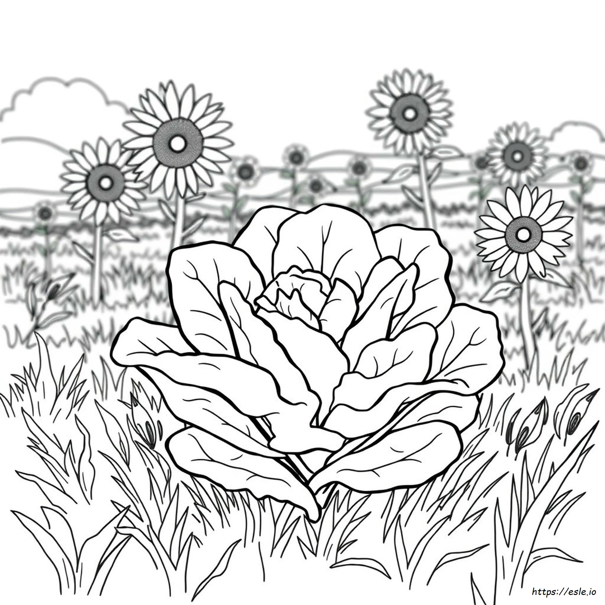 Verdy Colouring In Pagini De Colorat Salată Verde