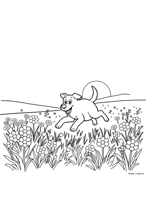 Go Dog Go Kleurplaten
