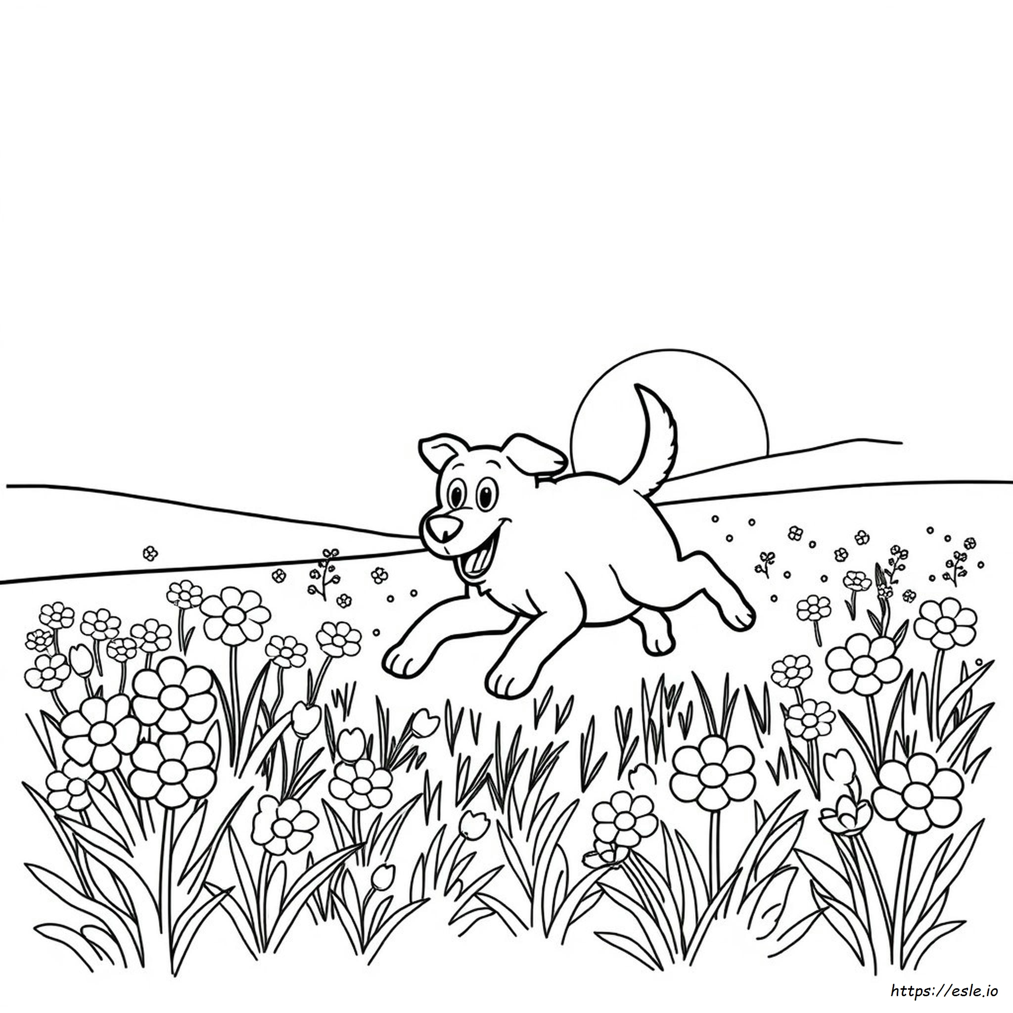 Go Dog Go Da Colorare