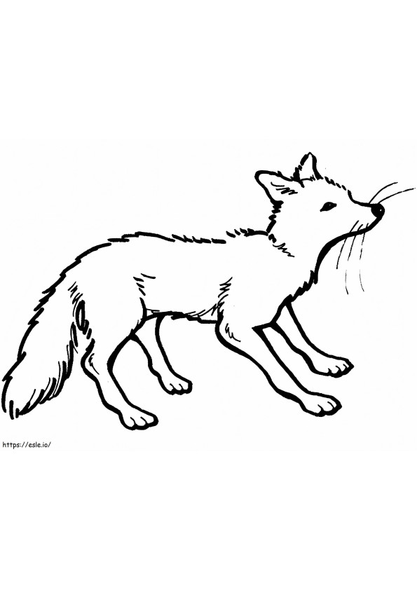 Red Vixen 1024X768 coloring page