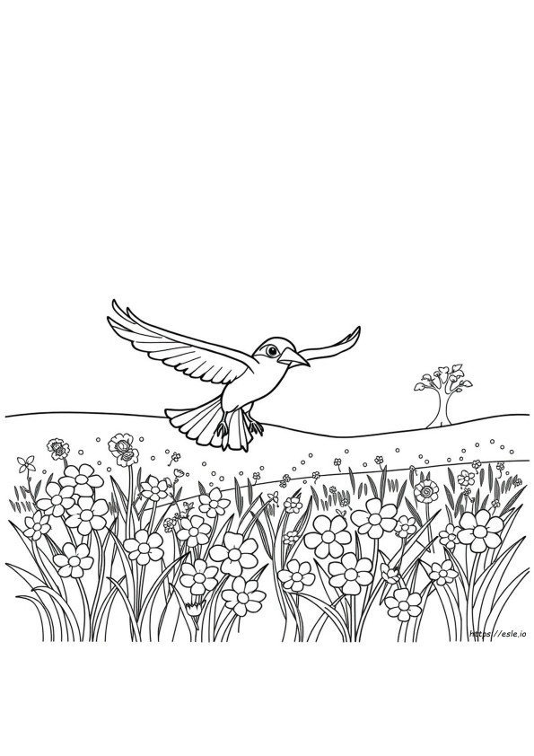 Spearow Coloring Page